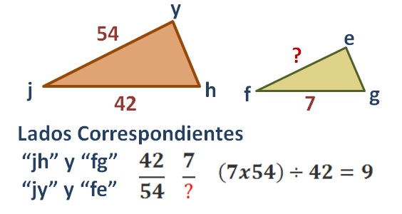 Proporciones