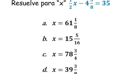 Problemas verbales con fracciones